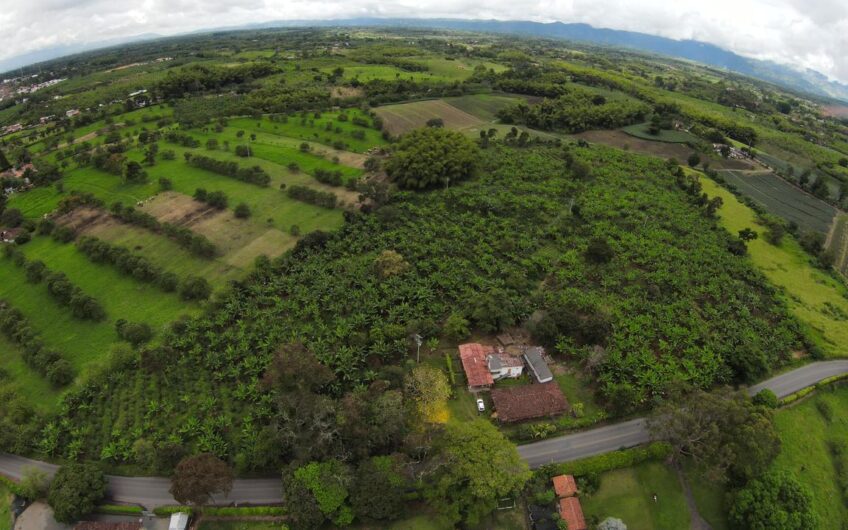 Finca Sobre Corredor Vial Turístico Sector Parque del Café – Quindío