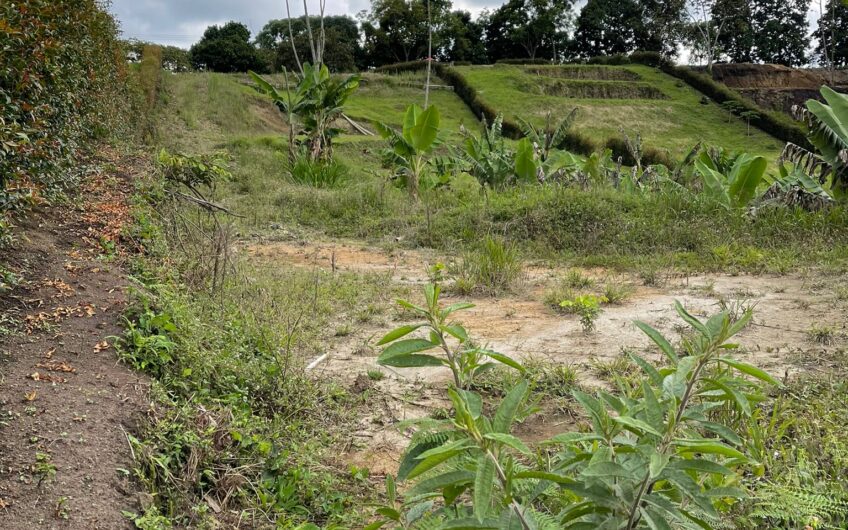 Lote para la Venta en Circasia Quindío