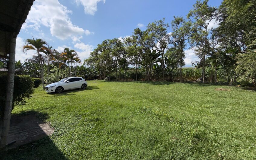 Lote Campestre para la Venta en el sector Murillo vía la Tebaida