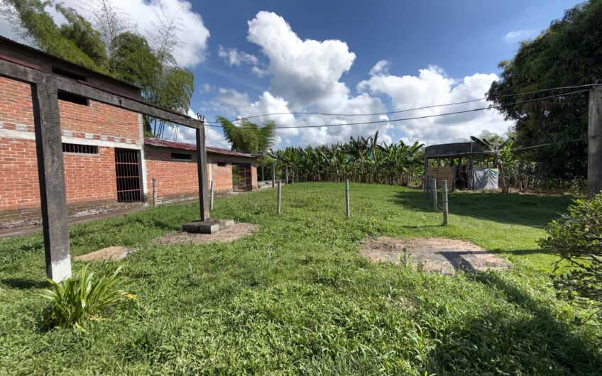 Lote Campestre para la Venta en el sector Murillo vía la Tebaida