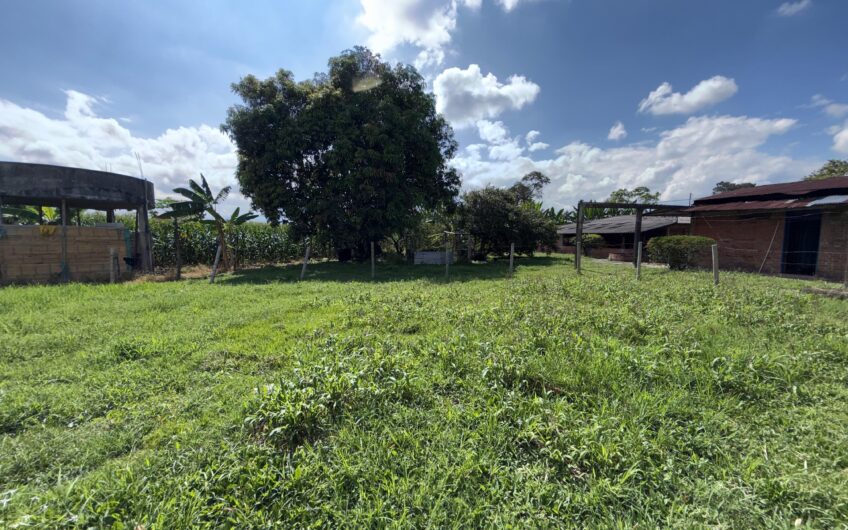 Lote Campestre para la Venta en el sector Murillo vía la Tebaida