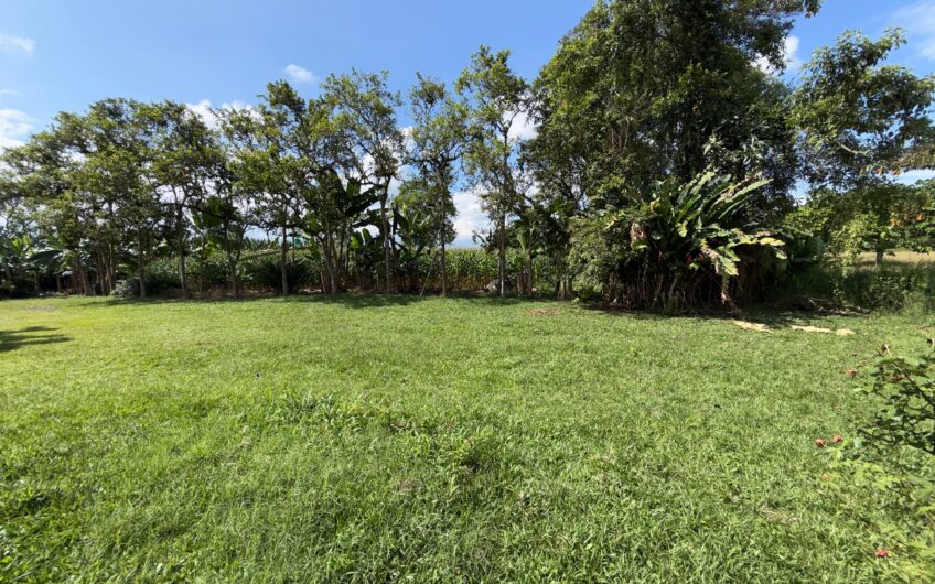 Lote Campestre para la Venta en el sector Murillo vía la Tebaida