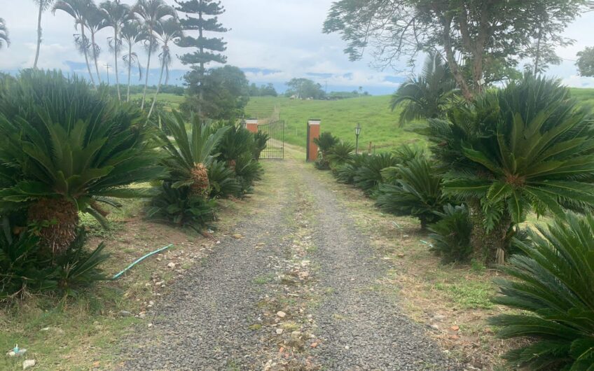 Finca para la Venta en la zona rural de Quimbaya