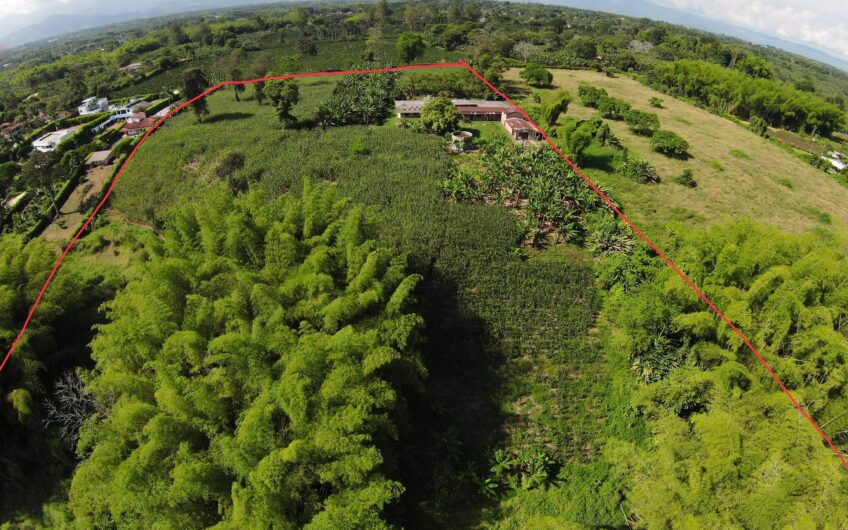 Lote Campestre para la Venta en el sector Murillo vía la Tebaida