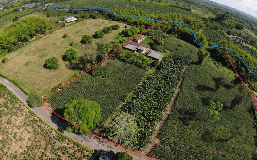 Lote Campestre para la Venta en el sector Murillo vía la Tebaida
