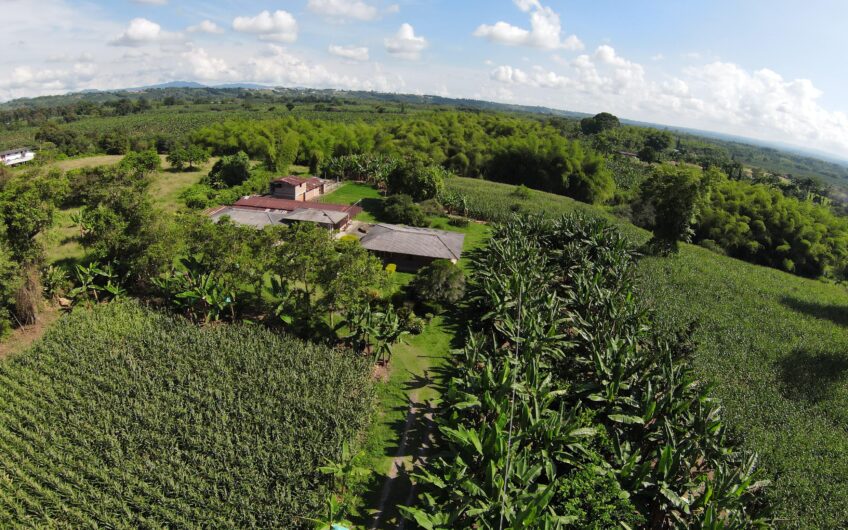 Lote Campestre para la Venta en el sector Murillo vía la Tebaida