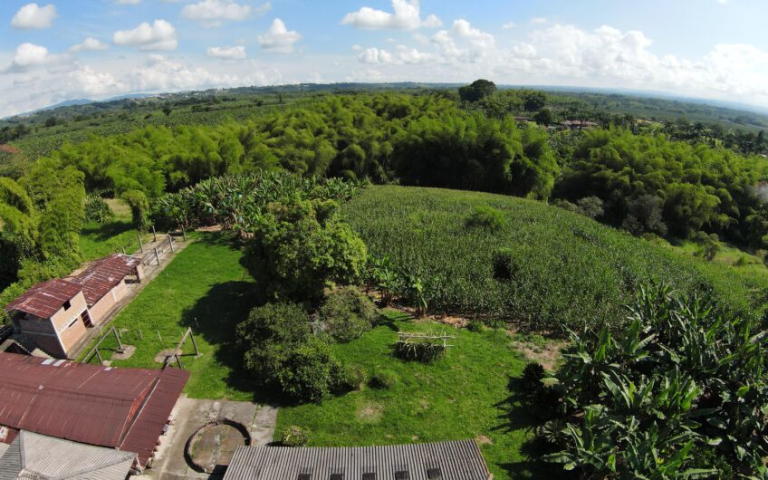 Lote Campestre para la Venta en el sector Murillo vía la Tebaida
