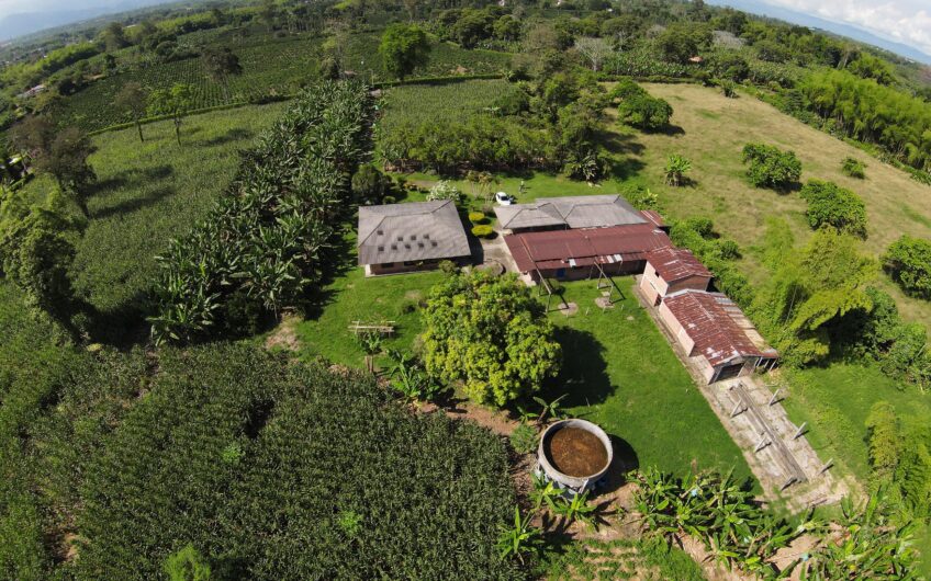 Lote Campestre para la Venta en el sector Murillo vía la Tebaida