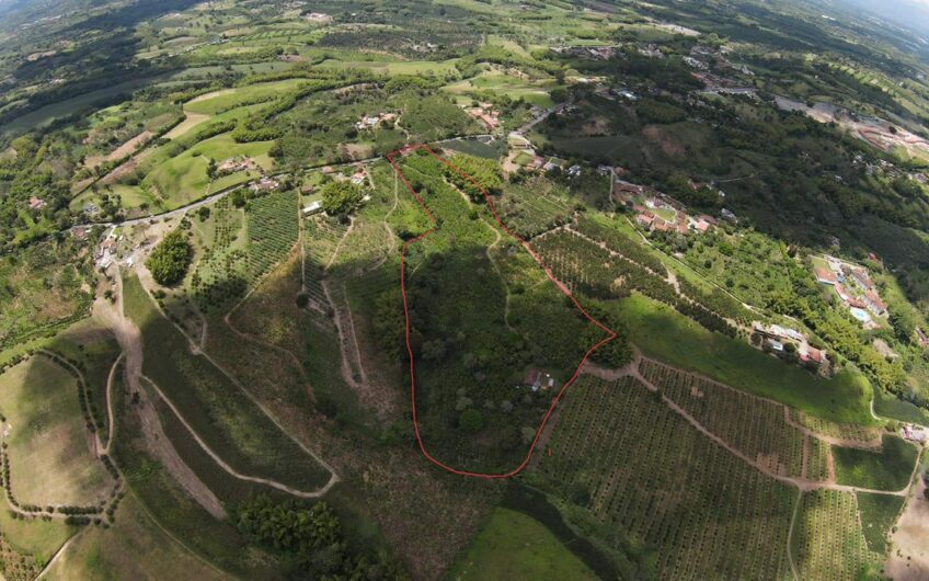 Finca para la Venta en Montenegro, sector Parque del Café