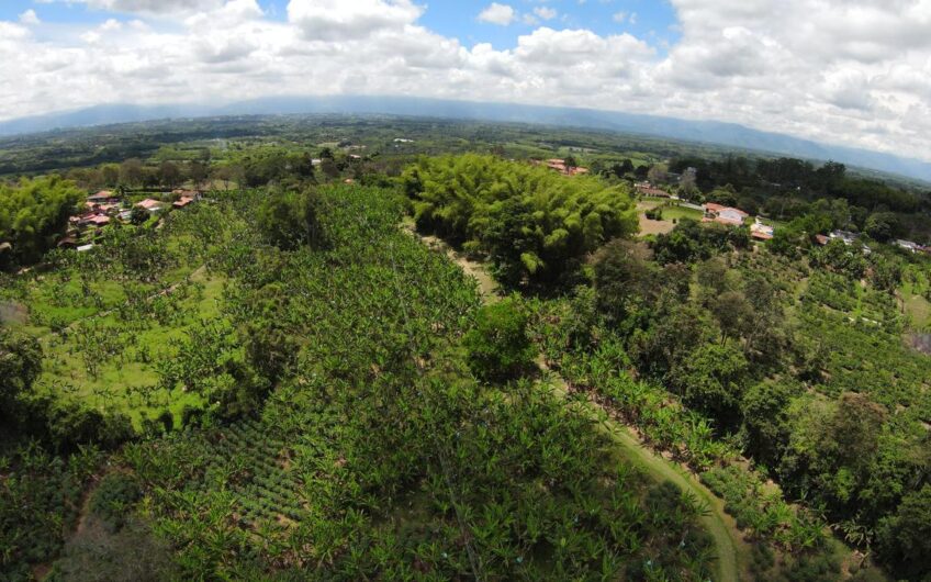 Finca para la Venta en Montenegro, sector Parque del Café