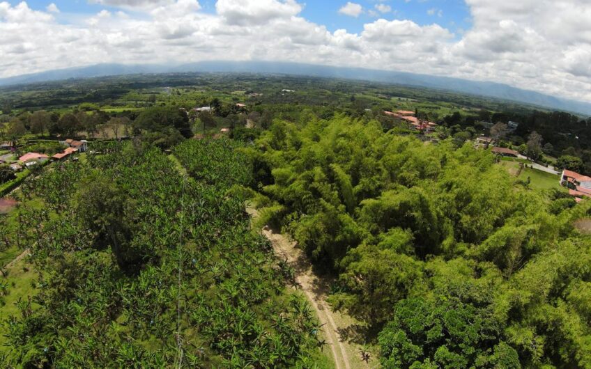 Finca para la Venta en Montenegro, sector Parque del Café