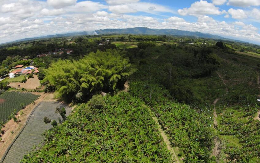 Finca para la Venta en Montenegro, sector Parque del Café