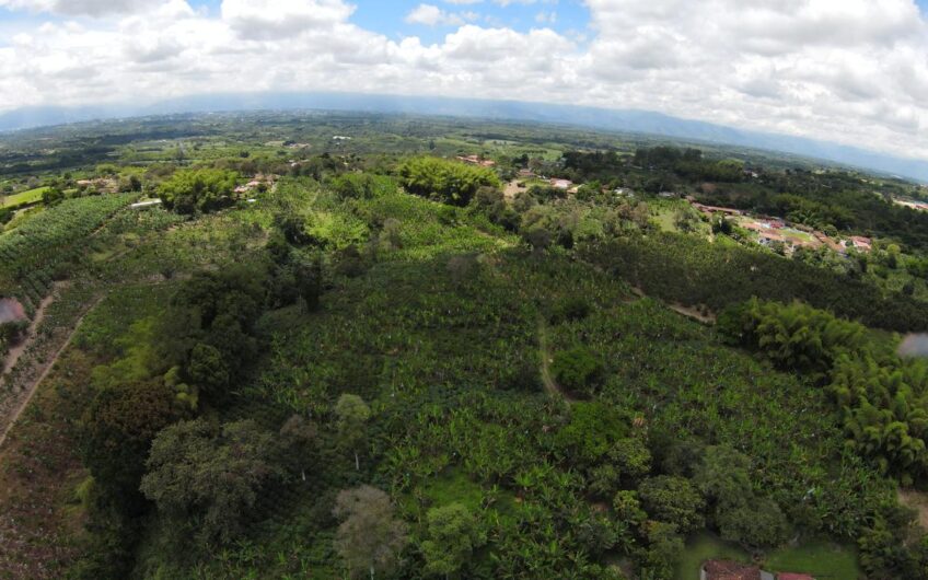 Finca para la Venta en Montenegro, sector Parque del Café