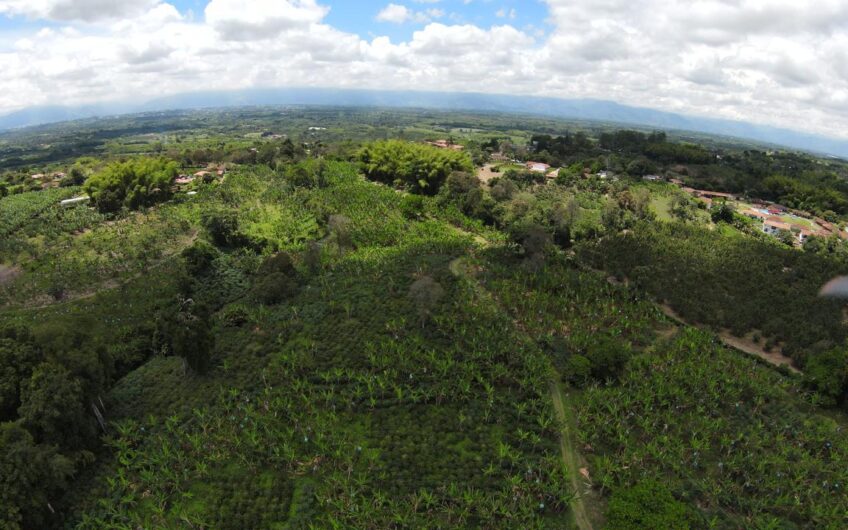 Finca para la Venta en Montenegro, sector Parque del Café