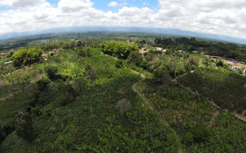 Finca para la Venta en Montenegro, sector Parque del Café