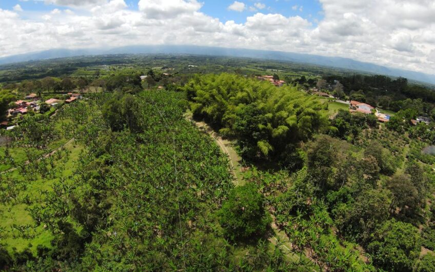 Finca para la Venta en Montenegro, sector Parque del Café