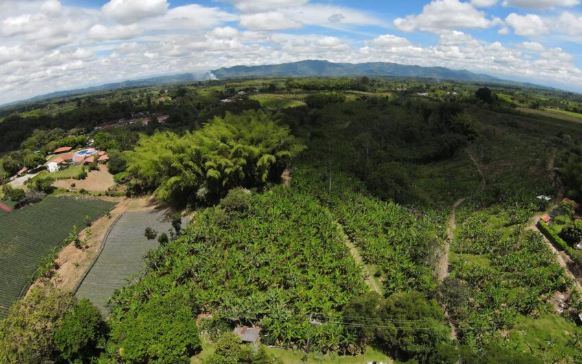 Finca para la Venta en Montenegro, sector Parque del Café
