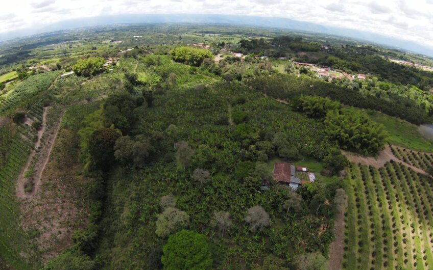 Finca para la Venta en Montenegro, sector Parque del Café
