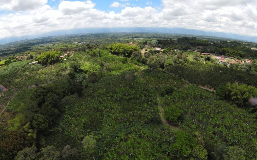 Finca para la Venta en Montenegro, sector Parque del Café