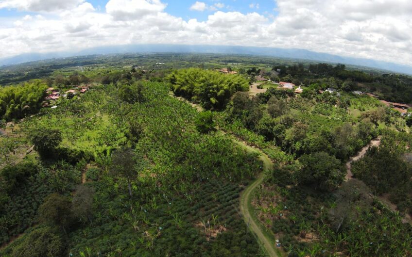 Finca para la Venta en Montenegro, sector Parque del Café