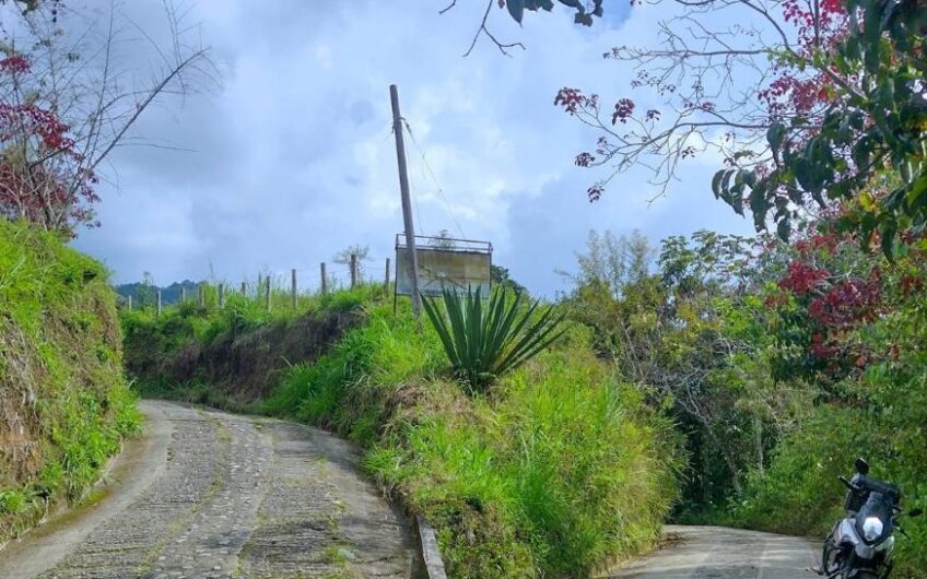 Finca para la Venta a 15 min de Barcelona, Quindío