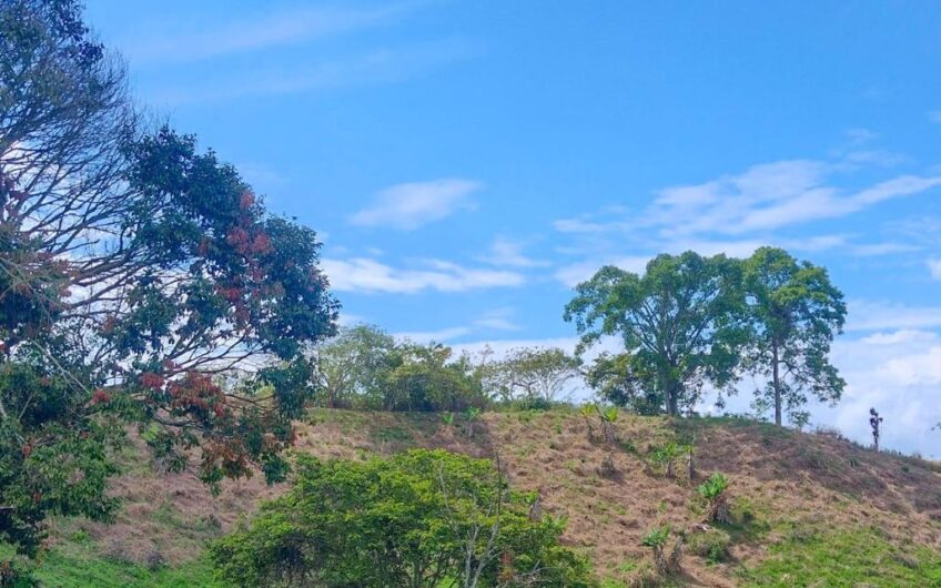 Finca para la Venta a 15 min de Barcelona, Quindío