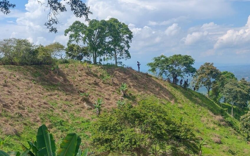Finca para la Venta a 15 min de Barcelona, Quindío