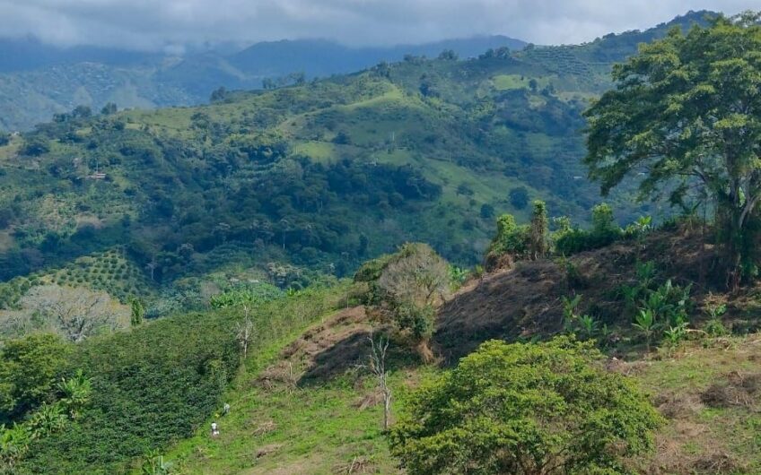 Finca para la Venta a 15 min de Barcelona, Quindío