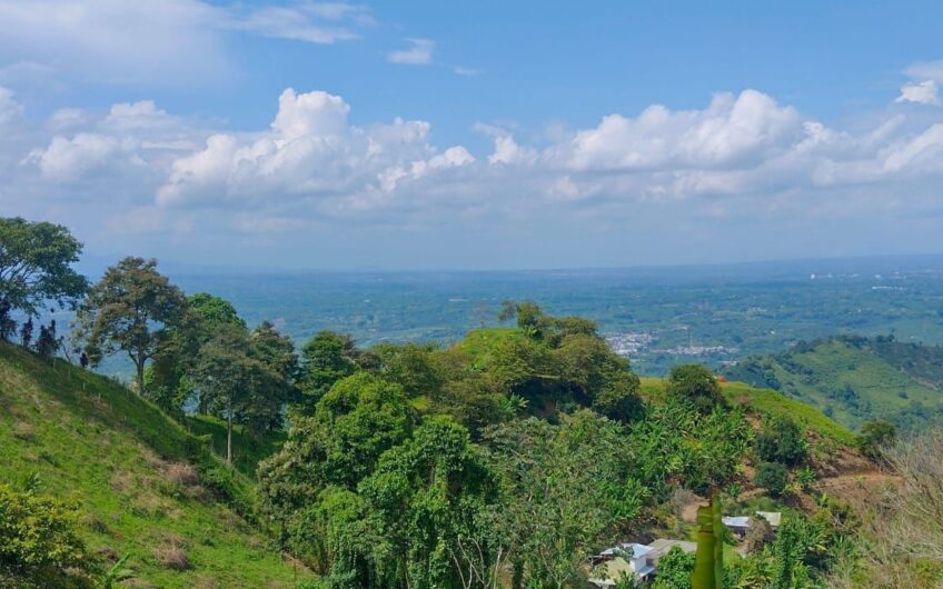 Finca para la Venta a 15 min de Barcelona, Quindío