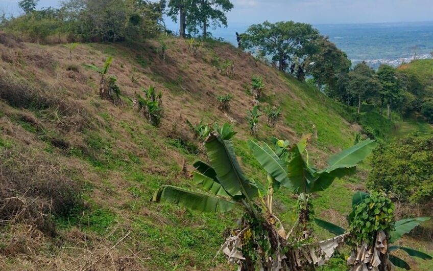 Finca para la Venta a 15 min de Barcelona, Quindío