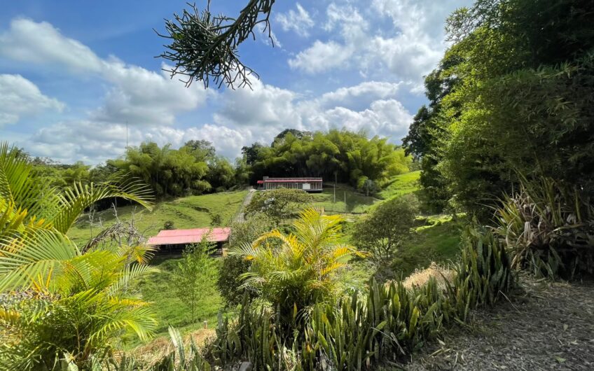 Casa Campestre para Arriendo en sector rural de Circasia